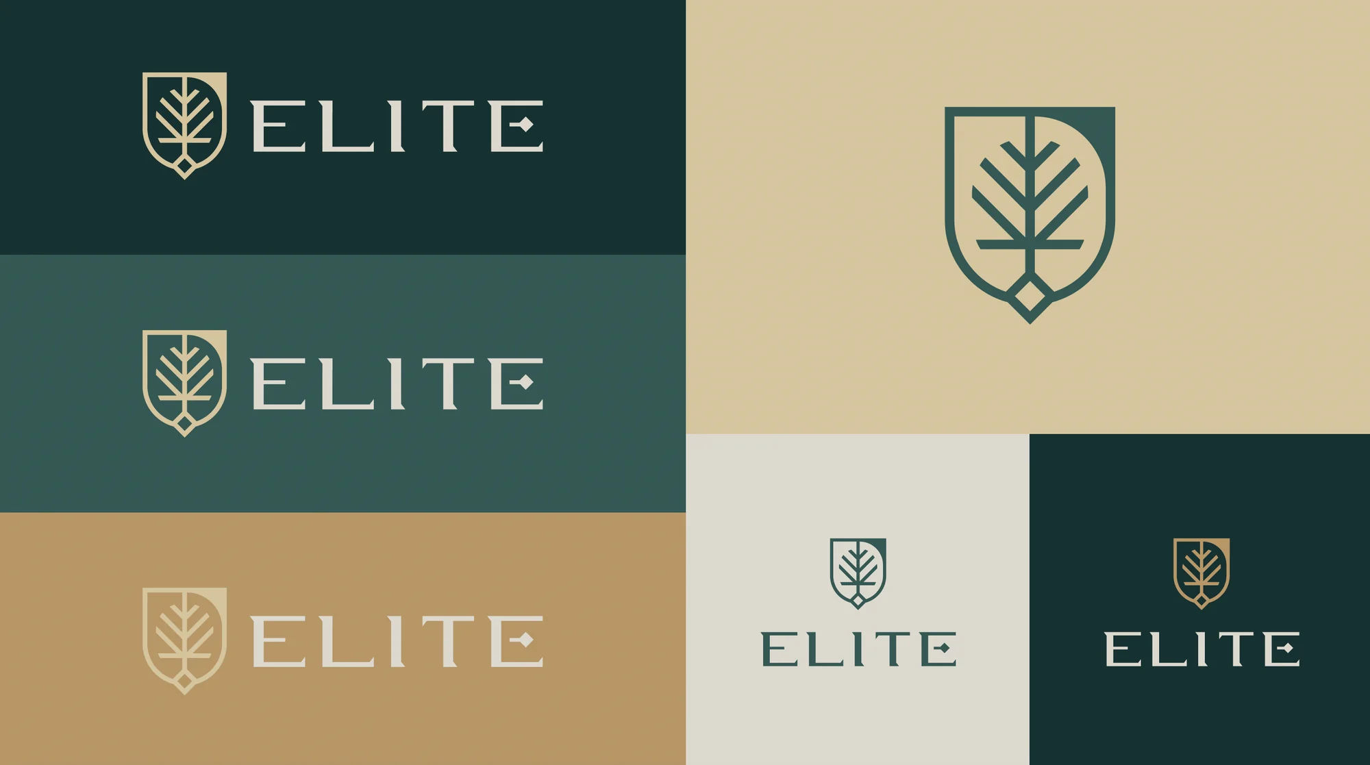 Team Elite logo suite with shield and tree symbol